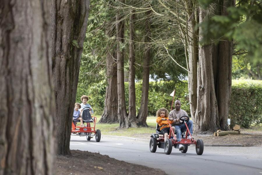 hire a buggy at Sandford Holiday Park