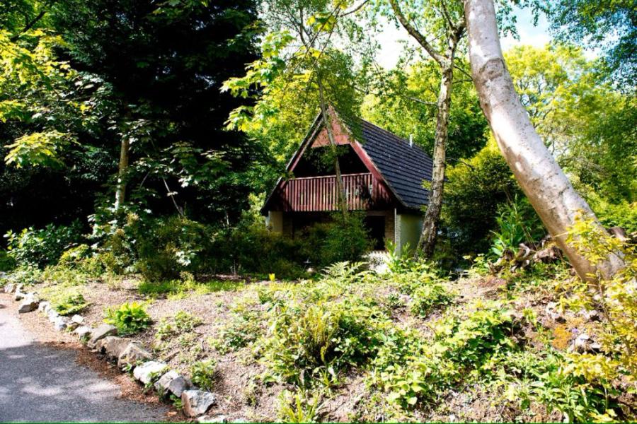 lodges in the woodland at St Ives Holiday Village