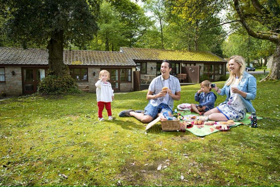 picnic on the grass outside the chalets