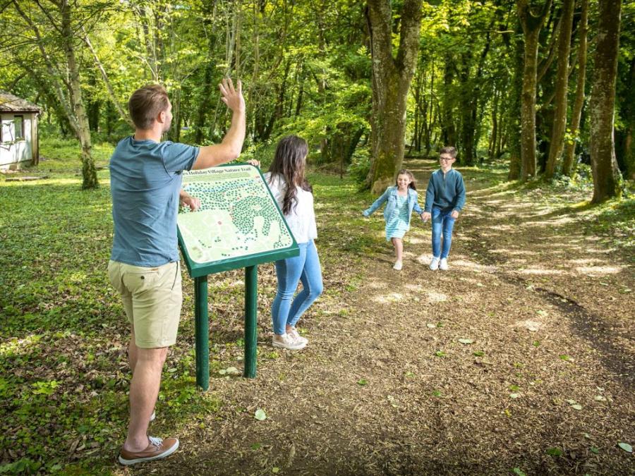 St Ives Holiday Village woodland walks