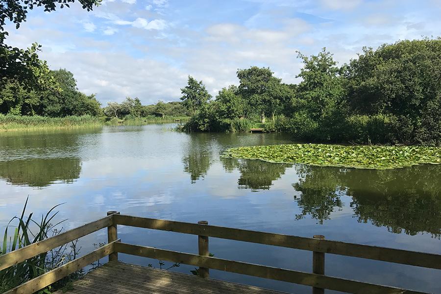 second fishign lake at Trevella Holiday Park