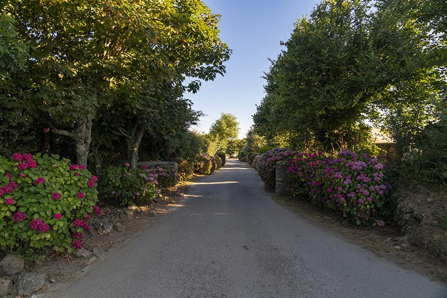 entrance to Trevella Holiday Park near Newquay