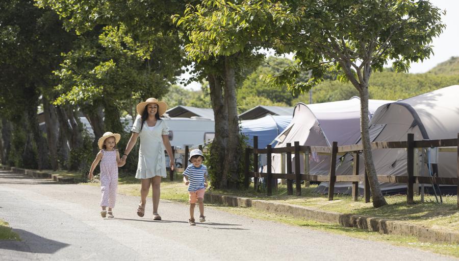 camping and tents at Holywell Bay Holiday Park near Newquay