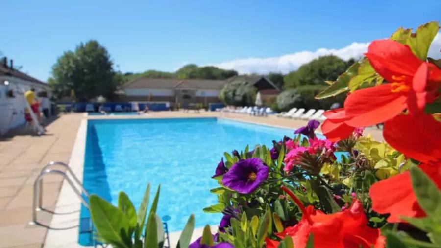 outdoor swimming pool at Shorefield Country Park