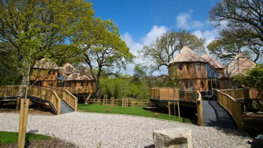 luxury tree house glamping in Hampshire at Shorefield Country Park