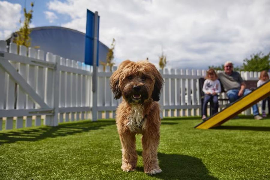 Skegness Holiday Park dedicated dog walking and exercise area