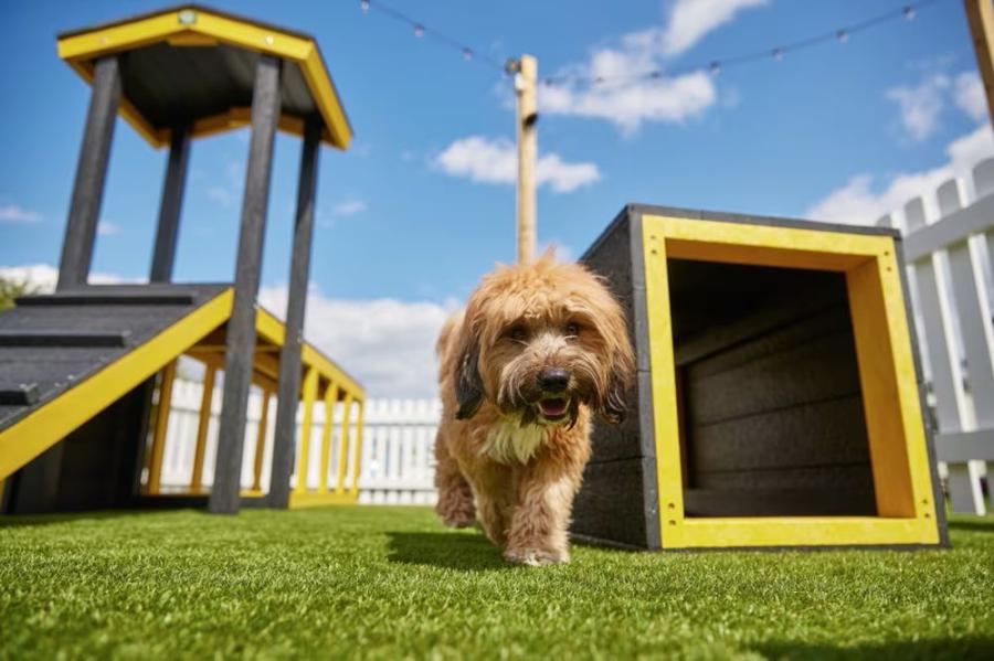 dog friendly holiday park in Skegness