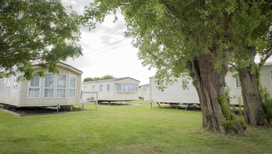 caravans by the trees at Valley Farm Holiday Park