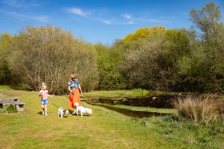 walkign around the park with dogs at this dog friendly holiday park