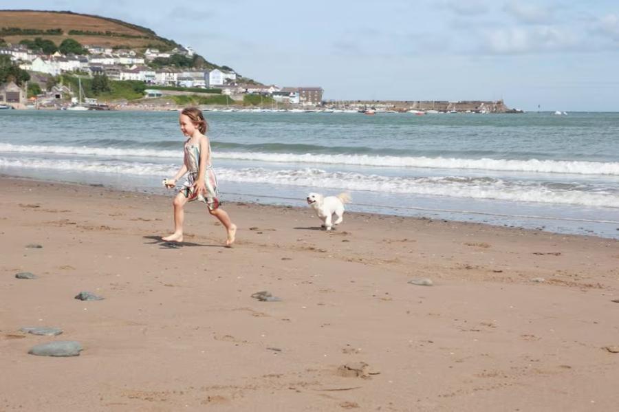 the dog friendly beach at Quay West Holiday Park