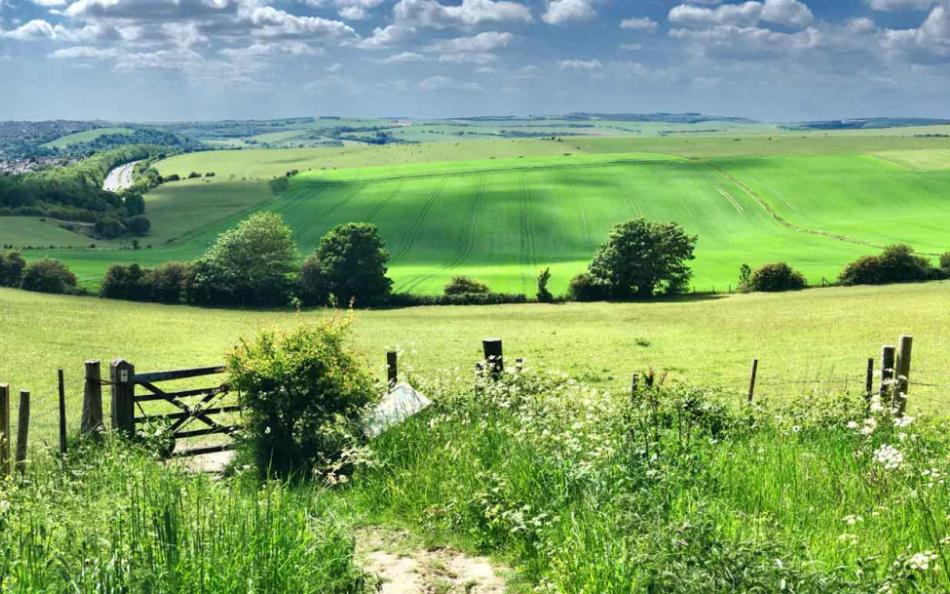 A Walk Through Countryside near Brighton for Walking Holidays in Sussex