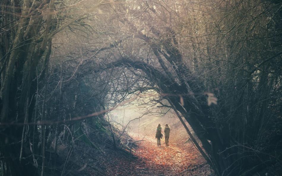 A Tunnel of Trees with People Walking through for Walking Holidays in