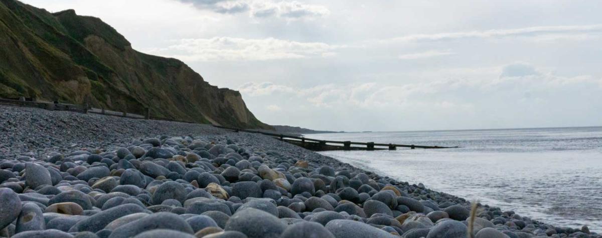 A View of a Norfolk Beach Walk